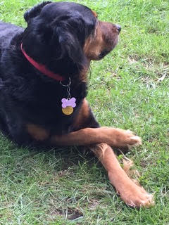 France-s-Zina-of-Perkins